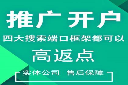 搜索引擎营销（SEM）的投放策略与效果评估——以某行业领先企业的案例分析